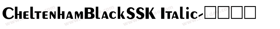 CheltenhamBlackSSK Italic字体转换